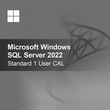 Microsoft SQL Server 2022 Standard 1 Gebruiker CAL