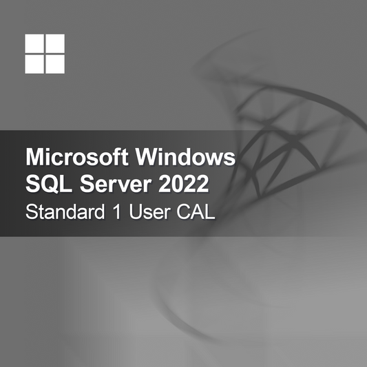 Microsoft SQL Server 2022 Standard 1 Gebruiker CAL