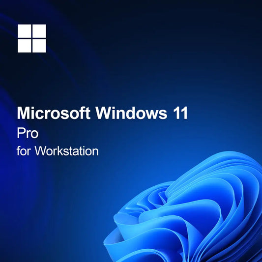 Microsoft Windows 11 Pro per Workstation