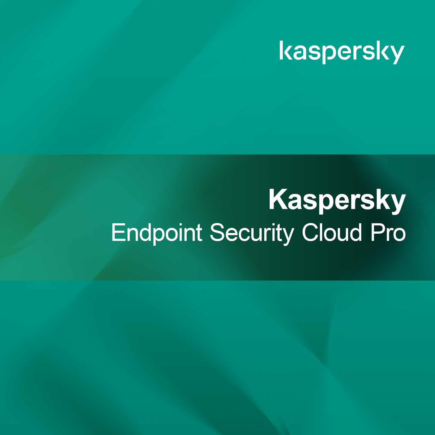 Kaspersky Végpontbiztonság Cloud Pro